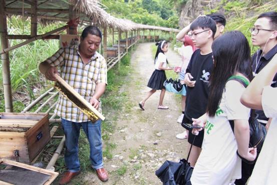 ”善行景宁乡，共圆畲汉梦“糖心视频
景宁梦之队-实地调研当地养蜂业